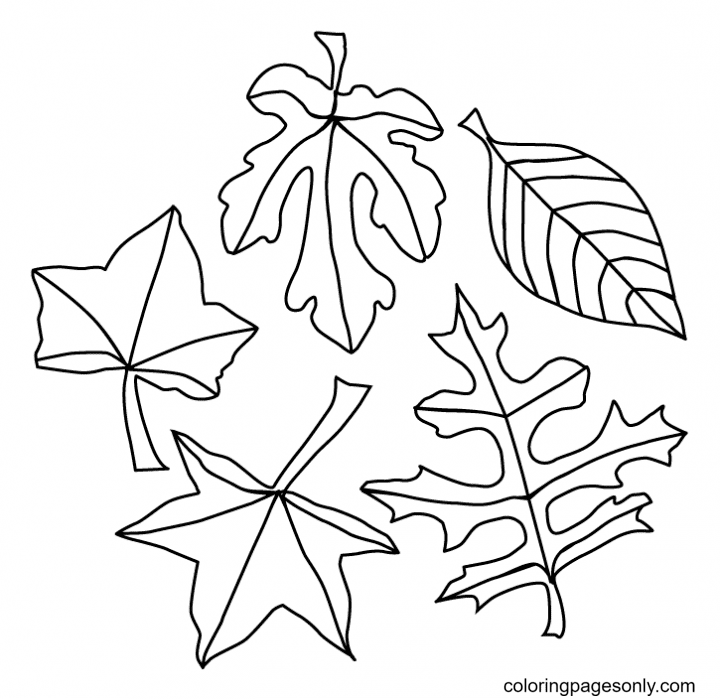 Autumn Leaves Coloring Pages Printable for Free Download