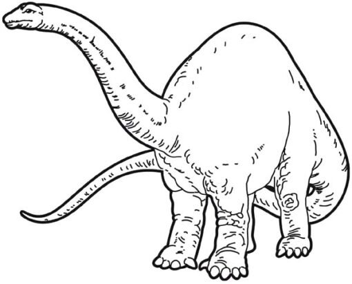 Apatosaurus Coloring Pages Printable for Free Download