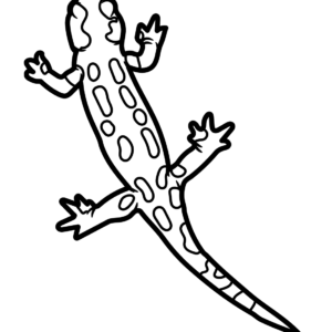 Salamander Coloring Pages Printable for Free Download