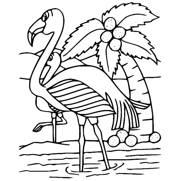 Flamingo Coloring Pages Printable for Free Download