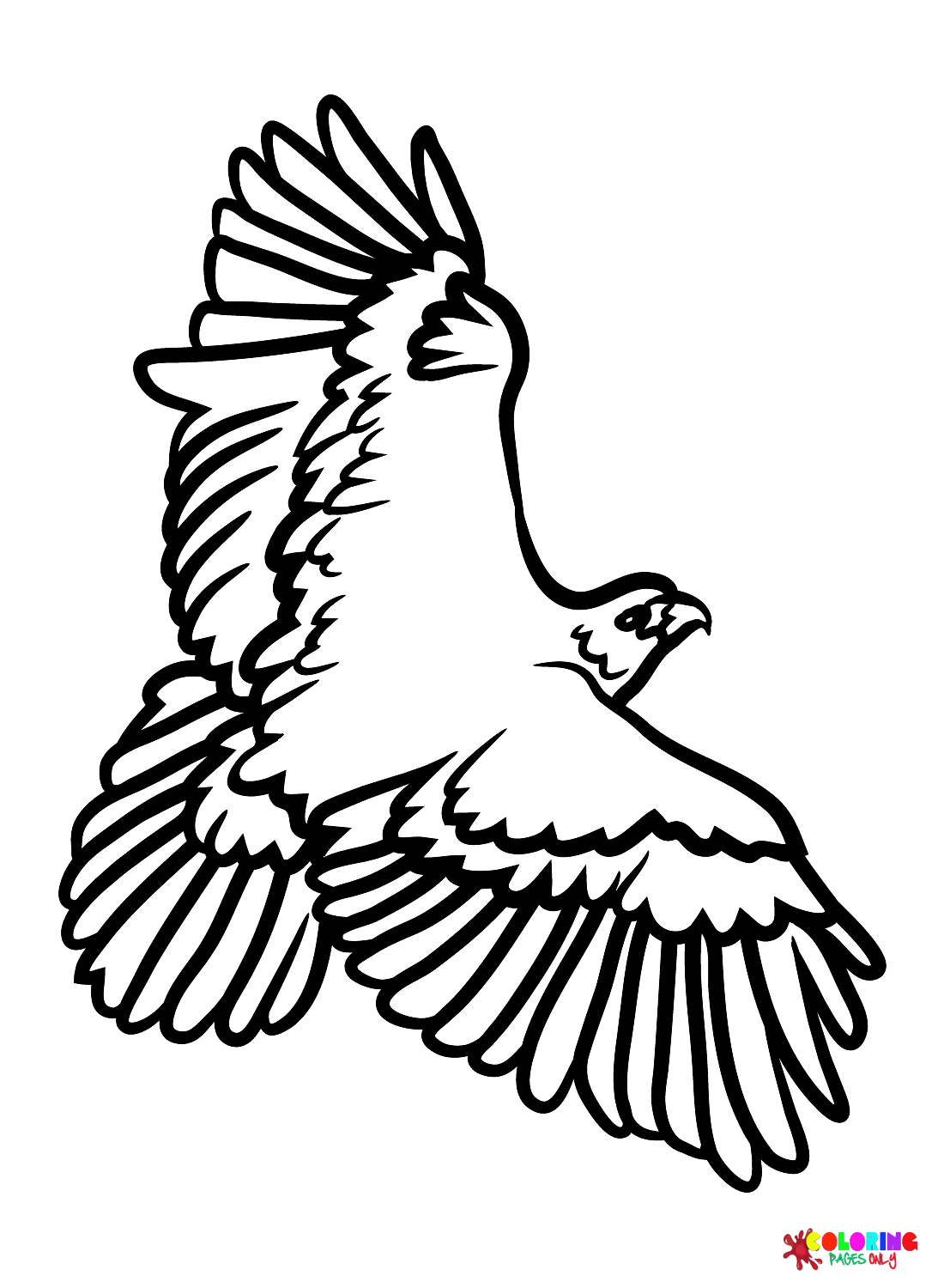 Hawks Coloring Pages Printable for Free Download