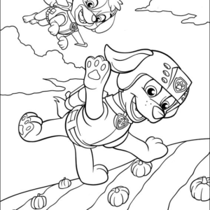 Skye Paw Patrol Coloring Pages Printable for Free Download