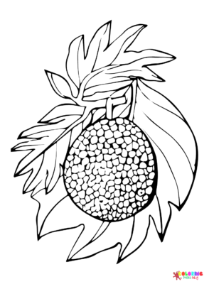 Breadfruit Coloring Pages Printable for Free Download