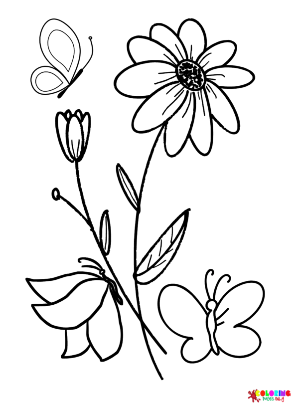 Daisy Coloring Pages Printable for Free Download