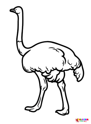 Emu Coloring Pages Printable for Free Download