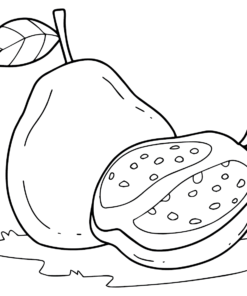 Guavas Coloring Pages Printable for Free Download