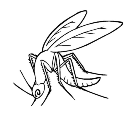 Mosquito Coloring Pages Printable for Free Download