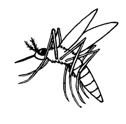 Mosquito Coloring Pages Printable For Free Download