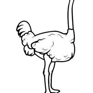 Ostrich Coloring Pages Printable for Free Download