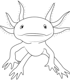 Axolotl Coloring Pages Printable for Free Download