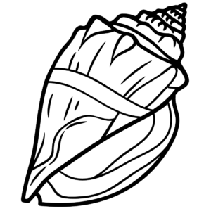 Conch Coloring Pages Printable for Free Download