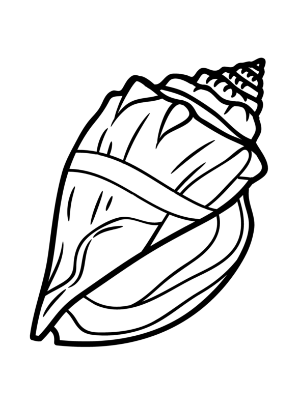 Conch Coloring Pages Printable for Free Download