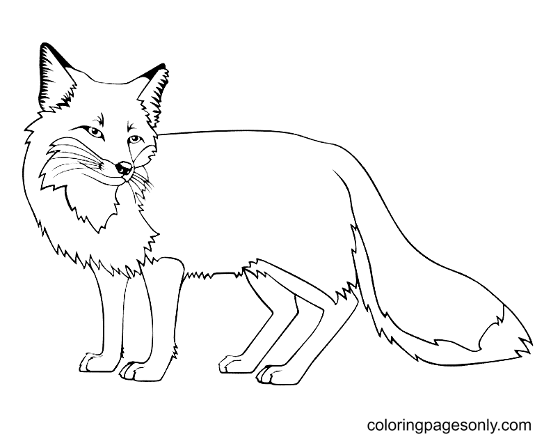 Fox Coloring Pages Printable for Free Download