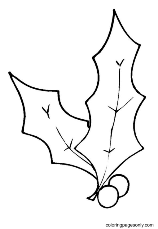 Christmas Holly Coloring Pages Printable for Free Download