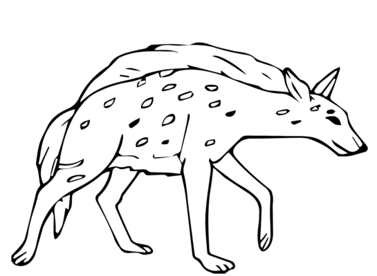 Hyena Coloring Pages Printable For Free Download