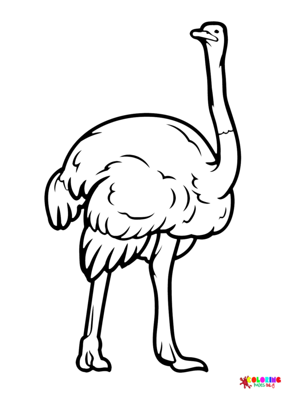 Ostrich Coloring Pages Printable for Free Download