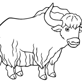 Yak Coloring Pages Printable for Free Download