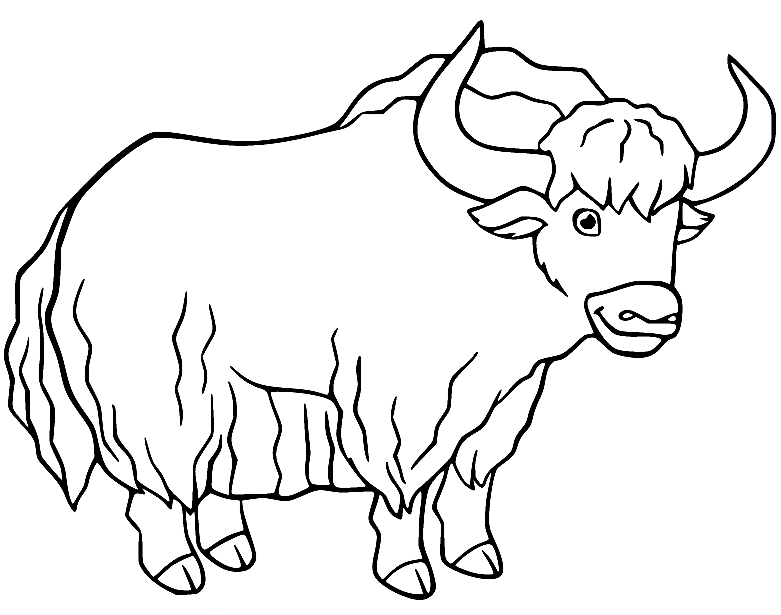 Yak Coloring Pages Printable for Free Download