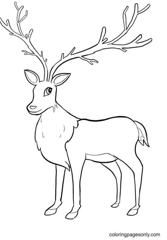 Reindeer Coloring Pages Printable for Free Download