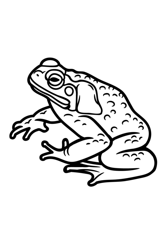 Toad Coloring Pages Printable for Free Download