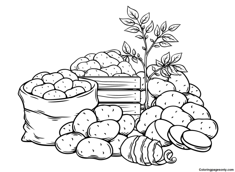 Potato Coloring Pages Printable for Free Download