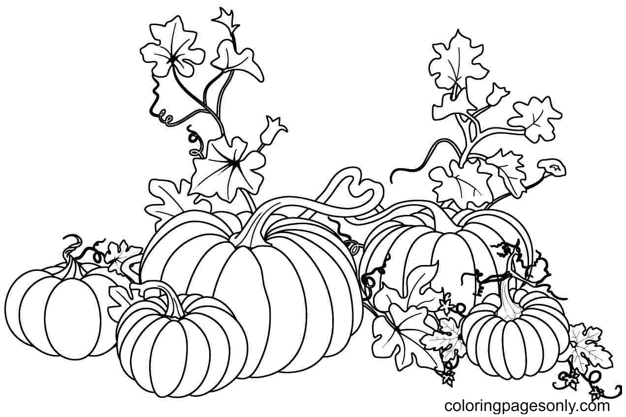 Pumpkin Coloring Pages Printable for Free Download