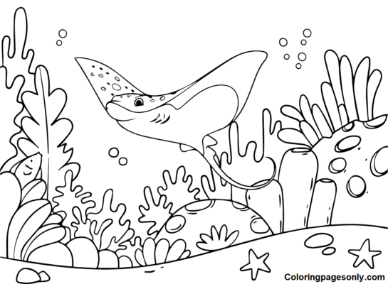 Stingray Coloring Pages Printable for Free Download