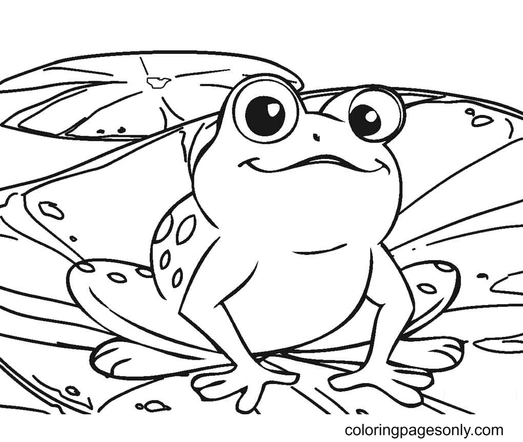 Frog Coloring Pages Printable for Free Download