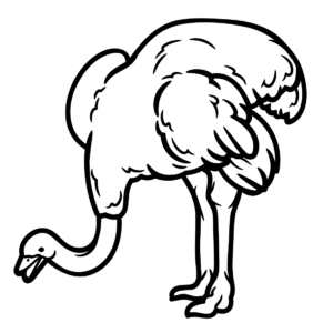 Emu Coloring Pages Printable for Free Download