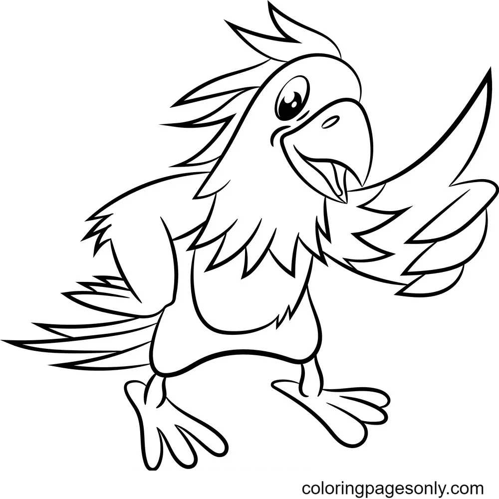 Parrot Coloring Pages Printable for Free Download