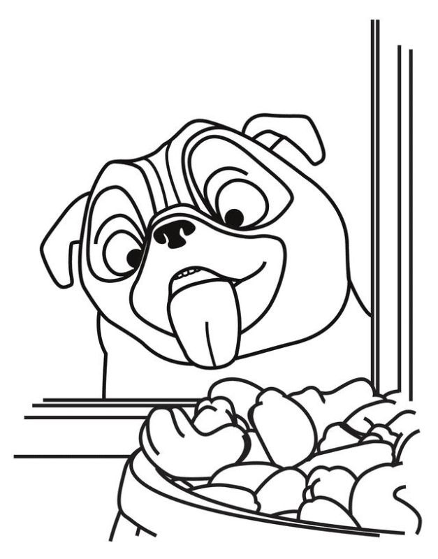 Pug Coloring Pages Printable for Free Download