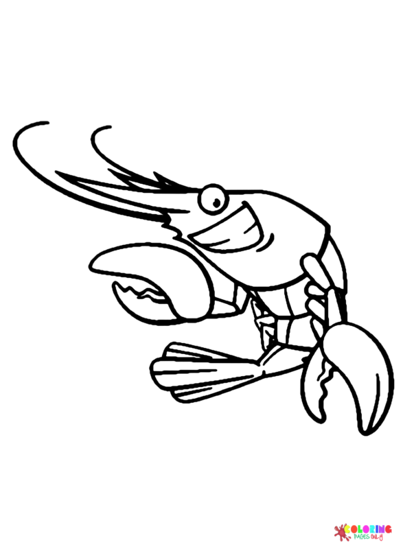 Shrimp Coloring Pages Printable for Free Download