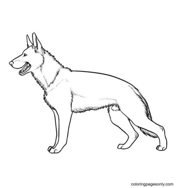 German Shepherd Coloring Pages Printable for Free Download