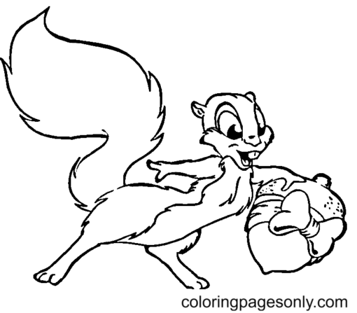 Squirrel Coloring Pages Printable for Free Download