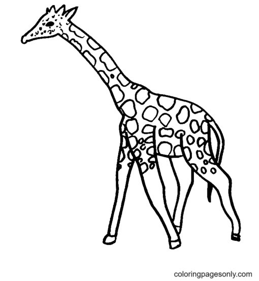 Giraffes Coloring Pages Printable for Free Download