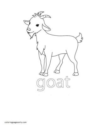 Farm Animal Coloring Pages Printable for Free Download