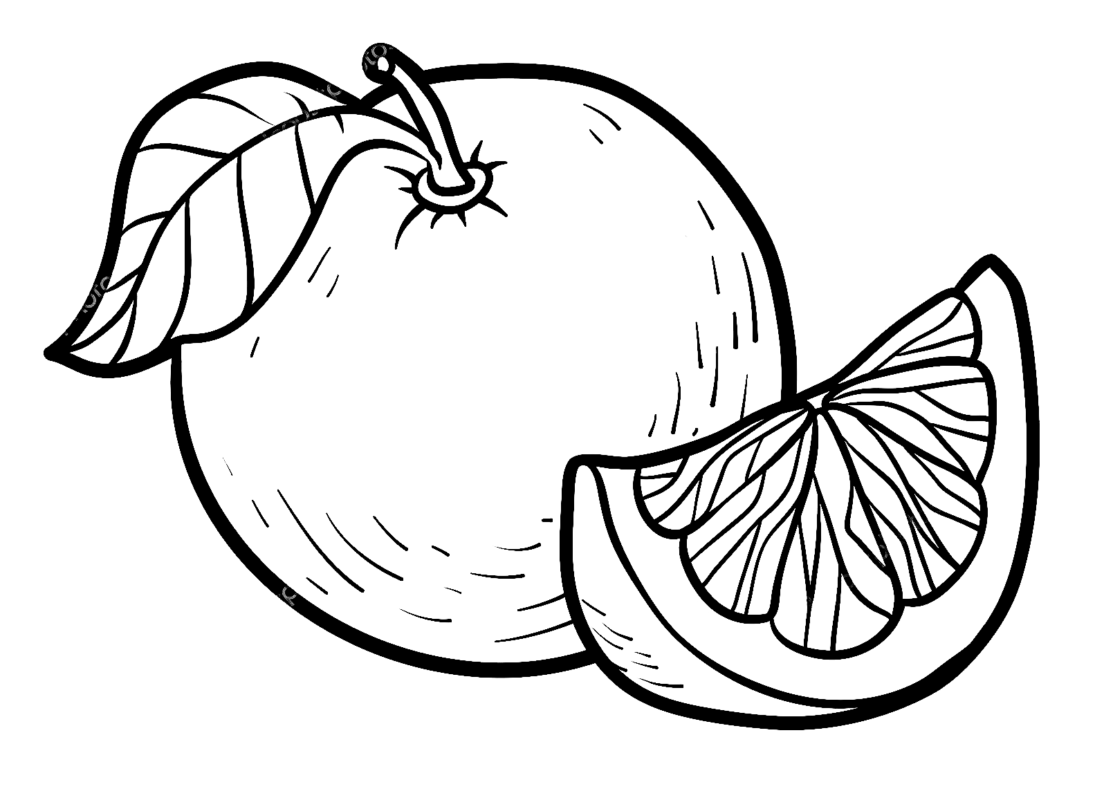 Grapefruit Coloring Pages Printable for Free Download