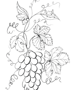 Grapes Coloring Pages Printable for Free Download