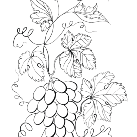 Grapes Coloring Pages Printable for Free Download