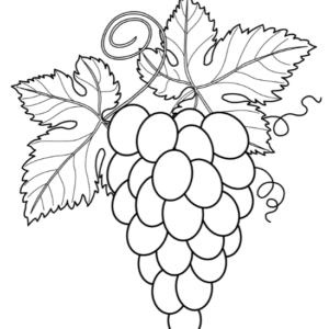 Grapes Coloring Pages Printable for Free Download