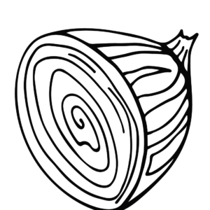 onion slice coloring page