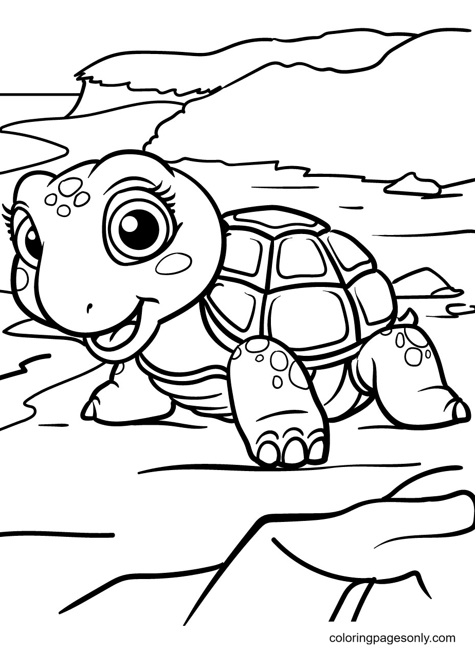 sea turtle coloring page