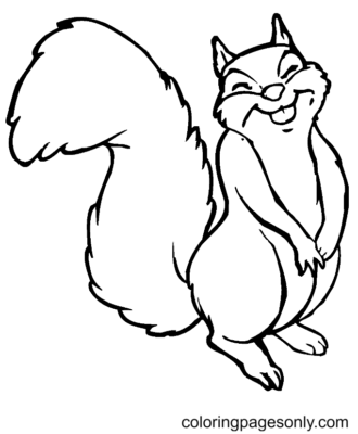 Squirrel Coloring Pages Printable for Free Download