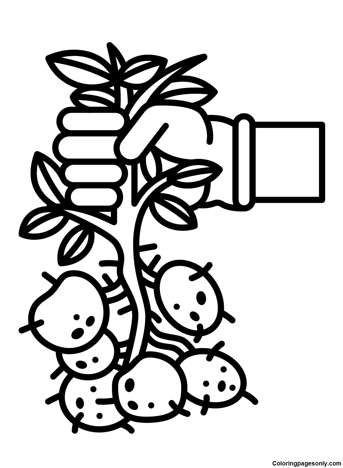 Potato Coloring Pages Printable for Free Download