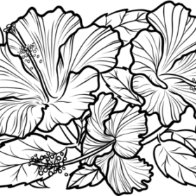 Hibiscus Coloring Pages Printable for Free Download