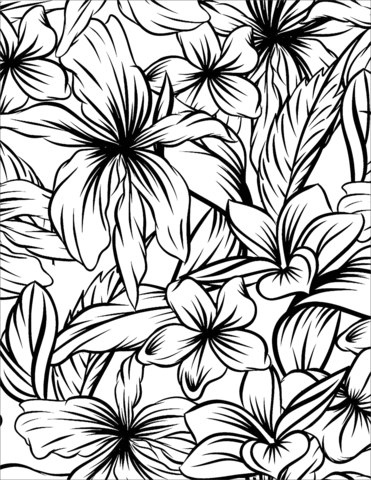 Hibiscus Coloring Pages Printable for Free Download