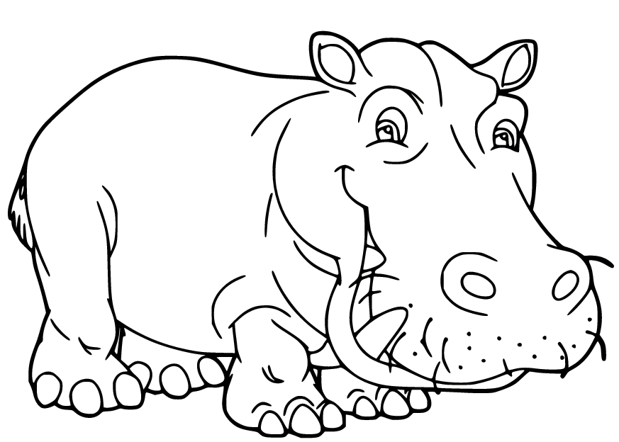 Hippo Coloring Pages Printable for Free Download