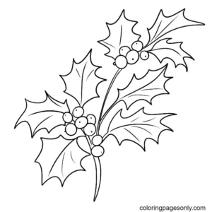 Christmas Holly Coloring Pages Printable for Free Download