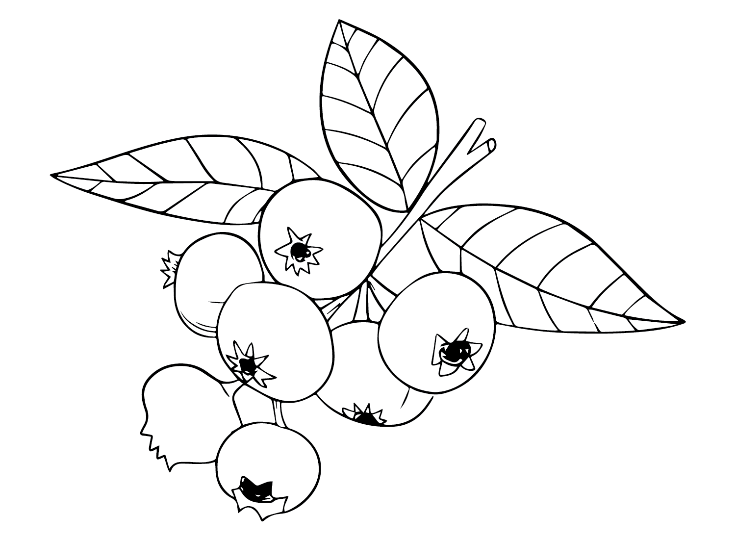 Huckleberry Coloring Pages Printable for Free Download