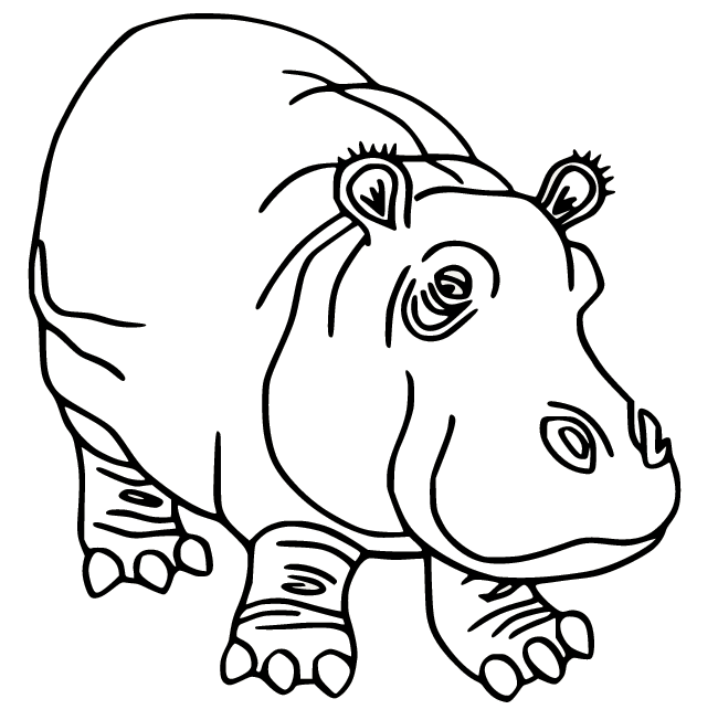 Hippo Coloring Pages Printable for Free Download